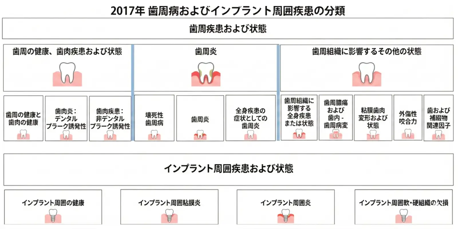 日本人が言う「歯周病」の正体