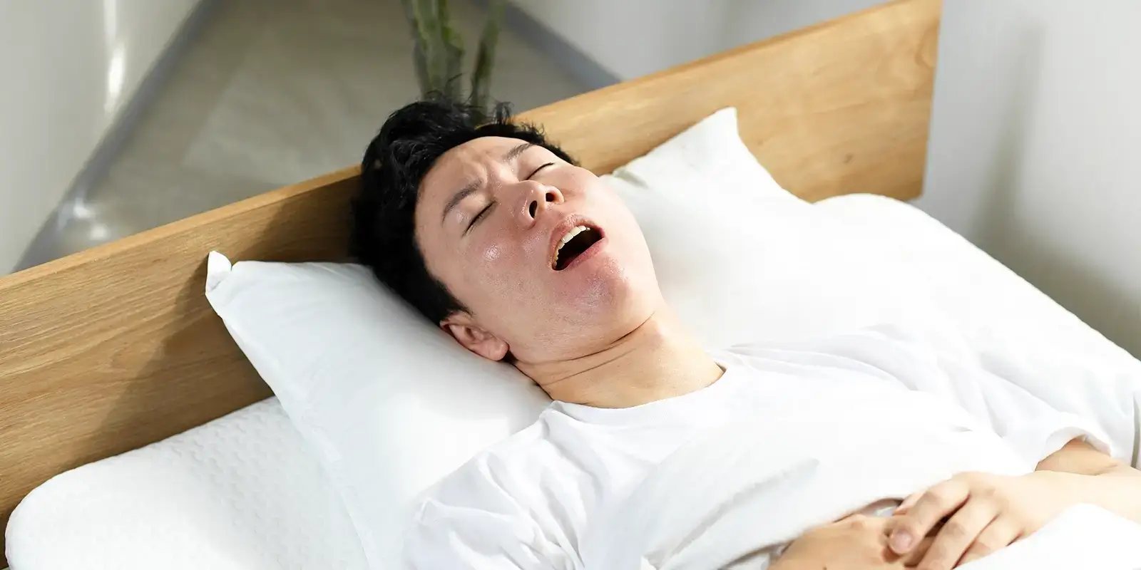 主な症状