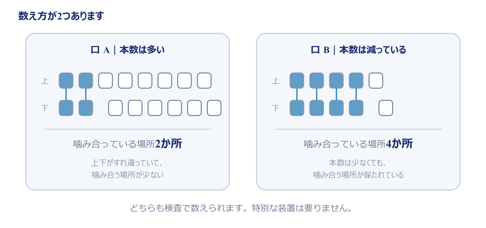 歯の本数と、上下が噛み合っている場所の数は別の数え方であることを示す図。本数が多くても上下がすれ違っていて噛み合う場所が少ない口と、本数が減っていても噛み合う場所が保たれている口がある。